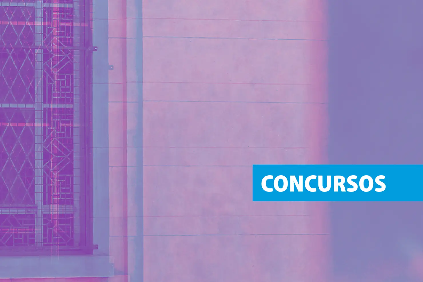 concursos 01 1