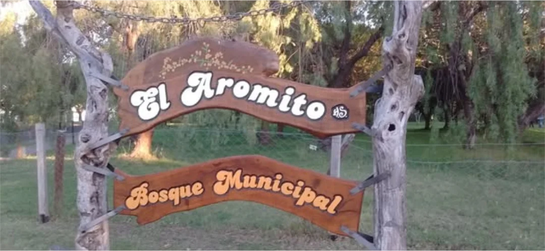 5 foto visita al aromito