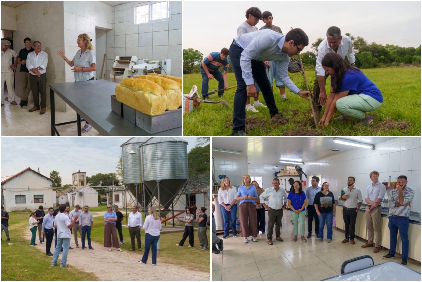 almafuerte recorrido collage