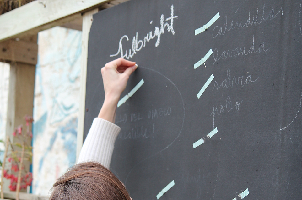 becas fulbright me asistentes de idioma flta 2 1