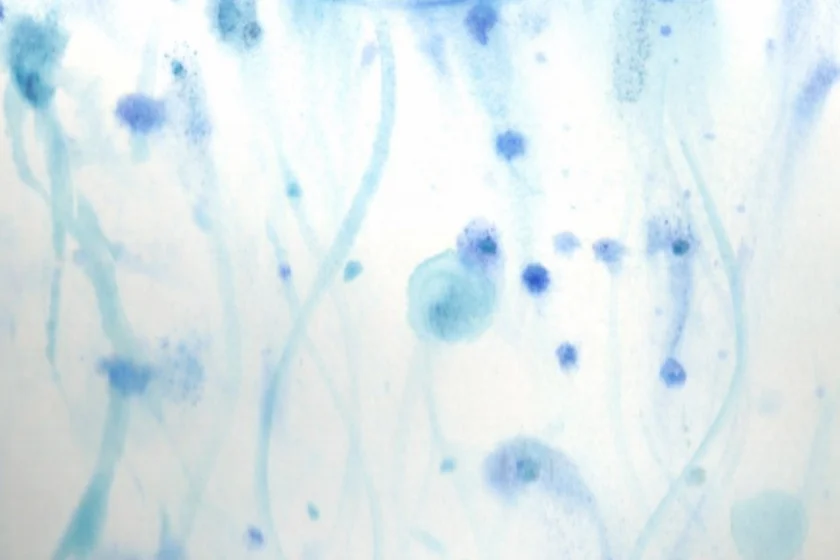 congreso literatura francesa 2026