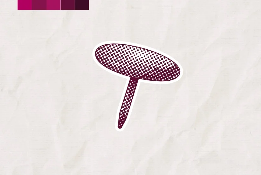 web comunicado institucional