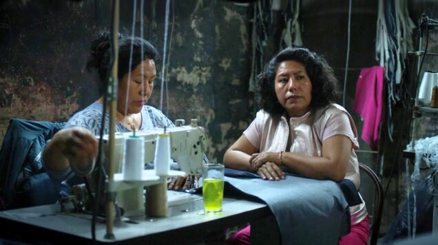 ip programa género fhaycs uader