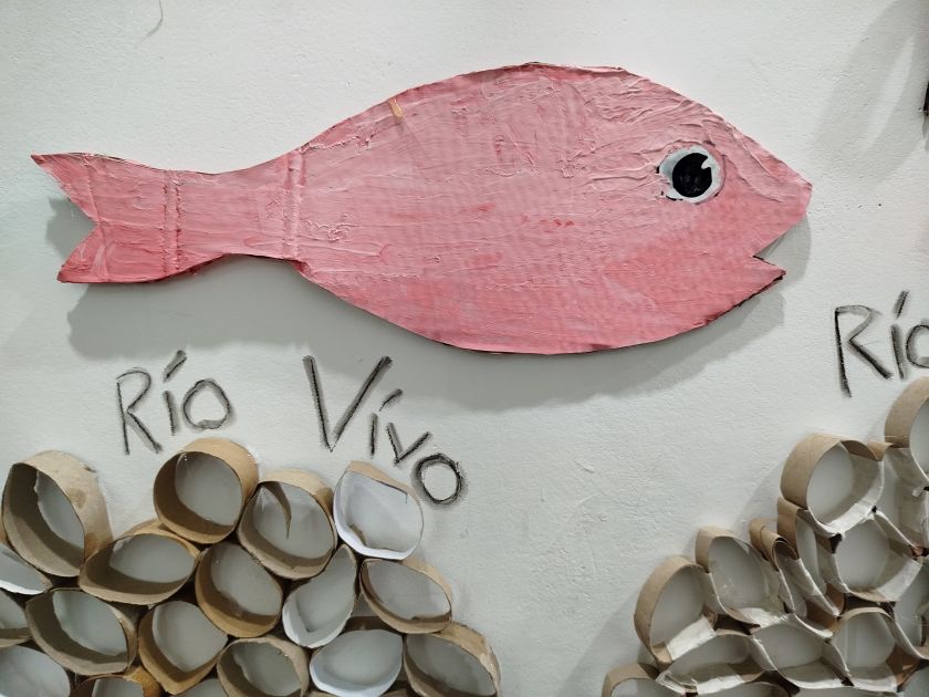 riovivo 01
