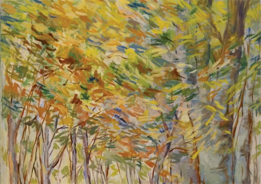 viii jornadas psicología social 2025 