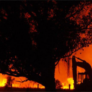 Charla Sobre Incendios Forestales