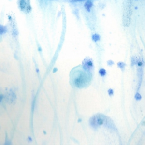 La FHAyCS Sede Concepción del Uruguay será anfitriona del VIII Congreso Internacional de Literatura Francesa y Francófona