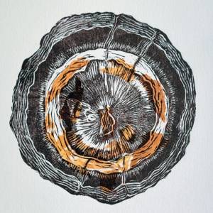 Muestra «Tiempo – Diversidad»