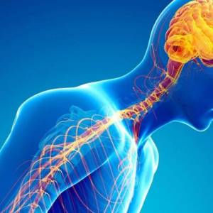 Panel de expertos: «Mejorando la calidad de vida en el Parkinson: un desafío para pacientes, familiares y profesionales»