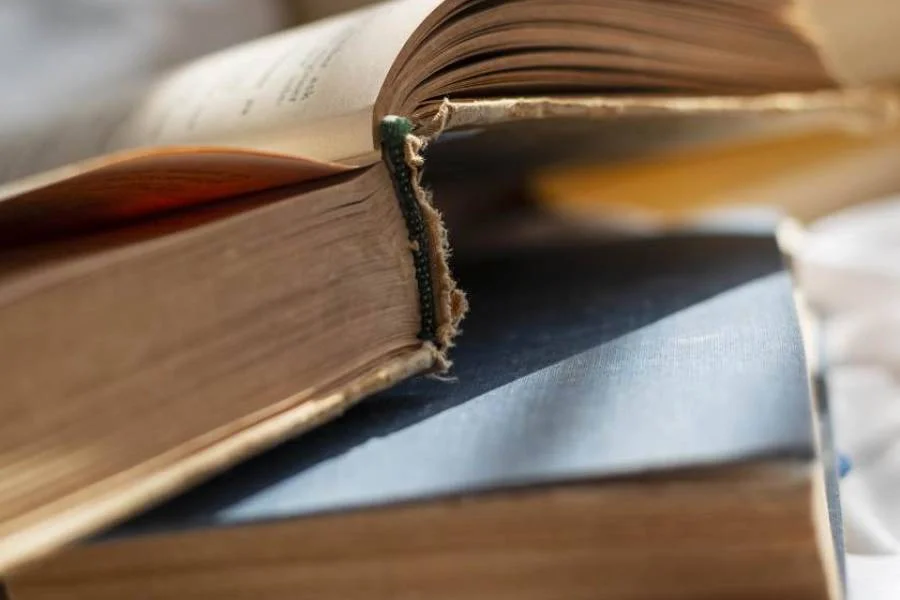 Se dictará el seminario de posgrado «Literatura Entrerriana y Política»