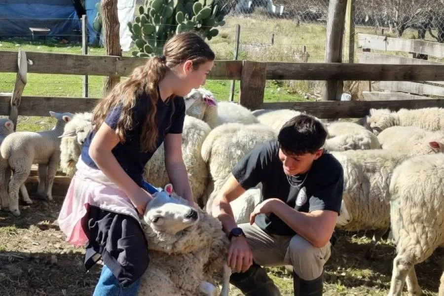 IX Jornada Interinstitucional de educación agropecuaria en las escuelas de la FHAyCS