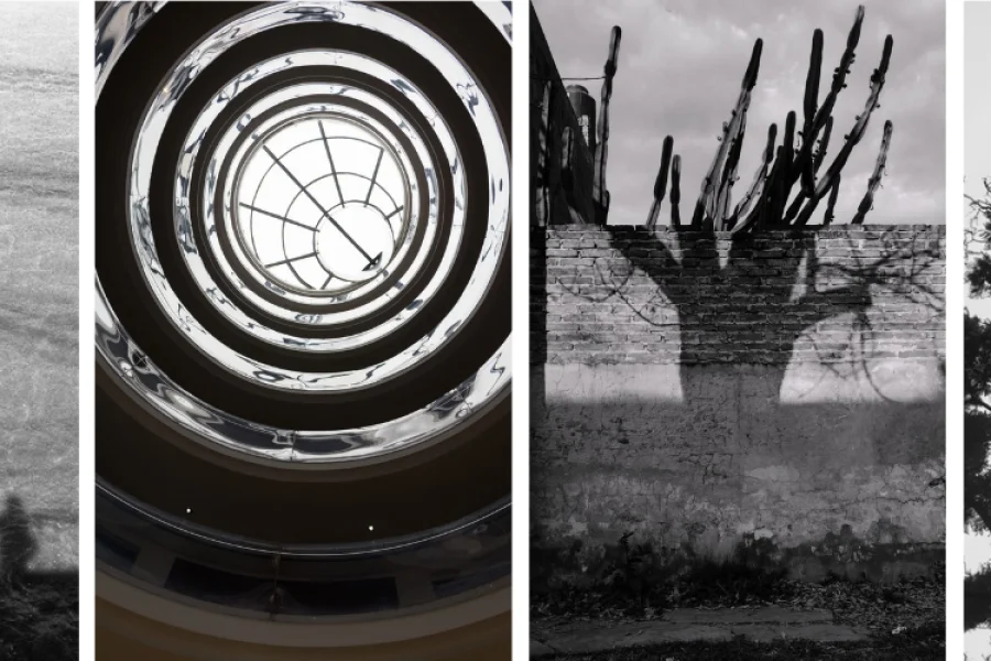 Conversatorio sobre fotografía con artistas emergentes
